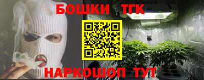 индика Краснознаменск