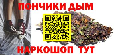 индика Краснознаменск