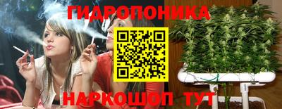 индика Краснознаменск
