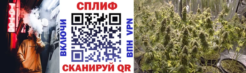 Бошки Шишки THC 21% Ессентуки
