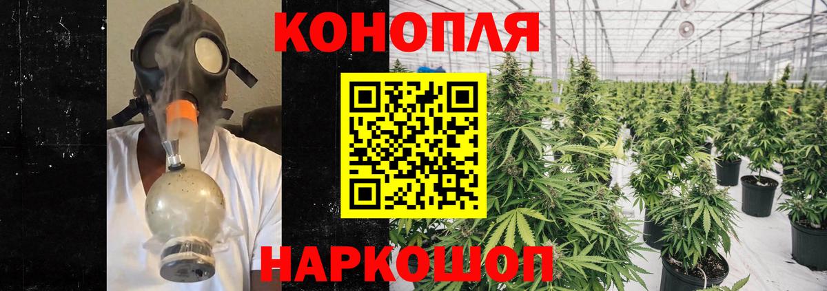 Конопля сатива  Вход с VPN  Ессентуки  Конопля ГИДРОПОН  Канабис планчик 