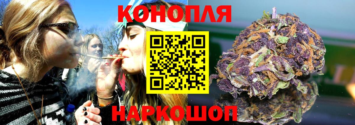 Бошки марихуана марихуана Ессентуки